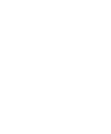 Wizemails logo